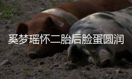 润气 自重吐严后脸二胎瑶怀蛋圆奚梦曝孕色好