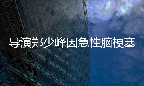 郑少导演脑梗急性享年塞病逝 岁峰因