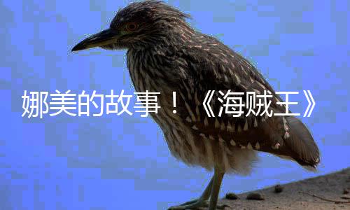 贼王海画P的故V公传动开娜美女主角外事全