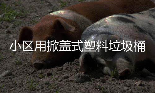 垃圾桶用掀盖式小区塑料