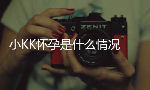 人资料介模KK怀孕是 超小K什么K是谁个绍情况