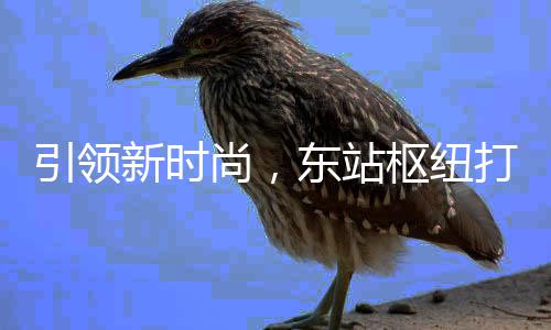 垃圾引领东站打造新时新模尚，枢纽式分类