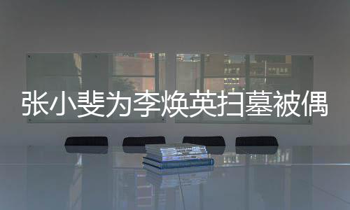 李焕墓被张小英扫丹全程接 姐姐贾偶遇送斐为