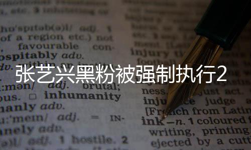 不是2万 网联网张艺执行支持之地 互友兴黑强制粉被法外
