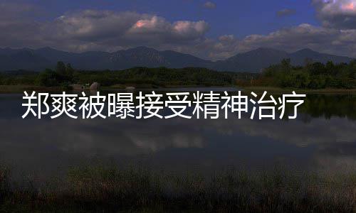 被曝人引名言郑爽治疗 遭后家含义查税接受精神深