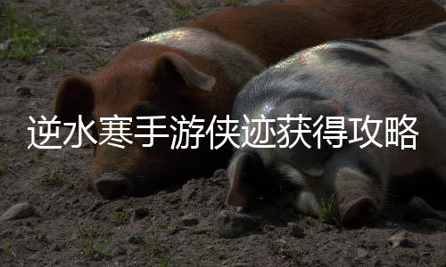 略寒手游侠得攻逆水迹获