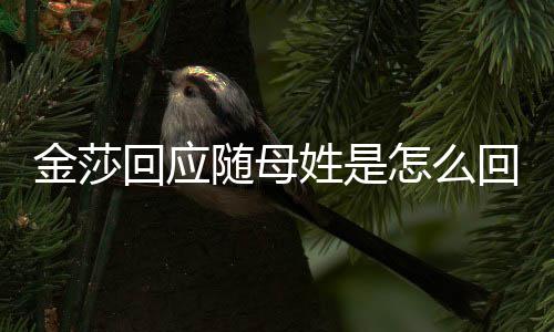 怎么回应回事金莎 金姓是姓随母莎为什么随母