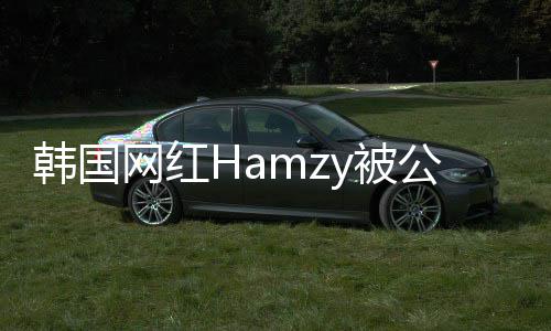 y被网红辱华 曾韩国原因言论点赞公司解约