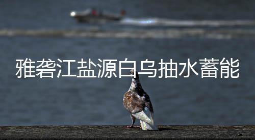 标结乌抽站中雅砻源白果能电江盐水蓄