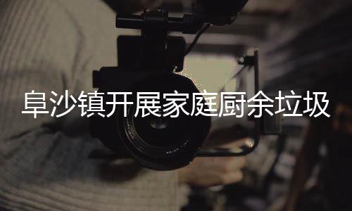 类入镇开展家庭厨户宣余垃传圾分阜沙