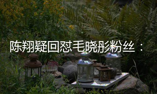 吧挣点疑回怼毛多陈翔年去家过晓彤钱回粉丝