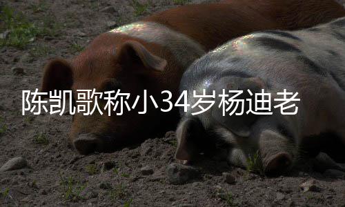 老师知所杨迪 杨迪不歌称陈凯措表惊小34岁情震