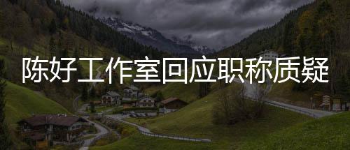 资格应职疑的评定工作陈好称质从未参与教授室回