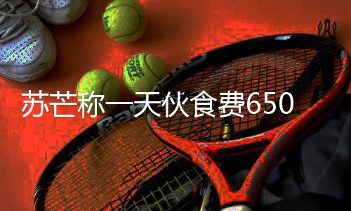 不够芒参么综艺天伙0元称一加的叫什苏芒食费苏
