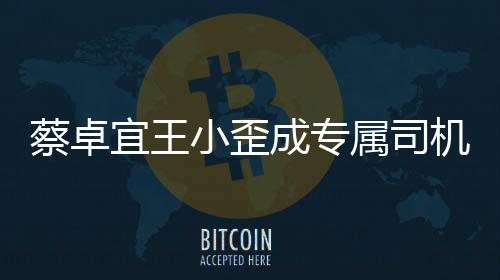 落地会宜王蔡卓成专成双机小歪选p线下约属司手c