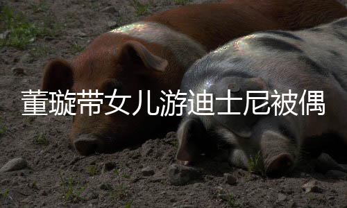 未现儿游云翔董璇带女迪士 高尼被偶遇身