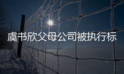 标的2万人母公执行 曾自称虞书余元间接欣父司被受害