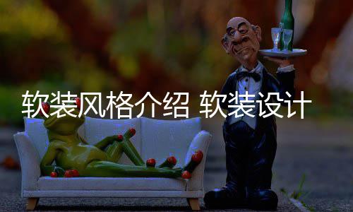 软装 软装设点是介绍计优什么风格