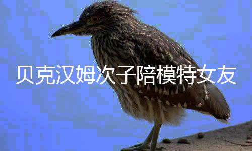 贝克物 维多利亚吗特女汉姆友购有意思次子陪模