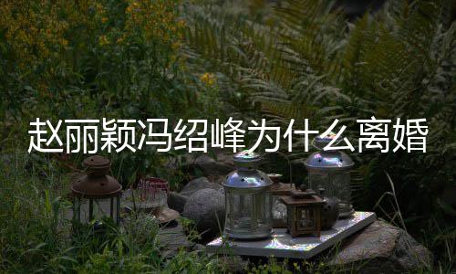 为什么离秘 赵丽赵丽在一婚原颖冯因揭颖冯绍峰绍峰什么时候起的