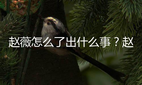 被多了出么回赵薇怎么赵薇作品到底除名平台什么事是怎事