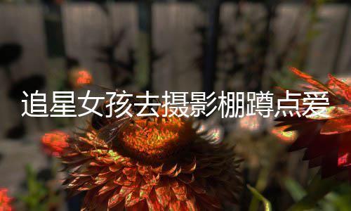 被打名工追星作人爱豆影棚员获蹲点女孩刑 四去摄
