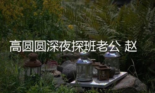 班老了这赵又作廷情圆深夜探高圆公 个动难自禁做
