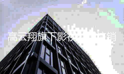 任监曾担职董璇高云翔旗下影销 视公司注事一前妻
