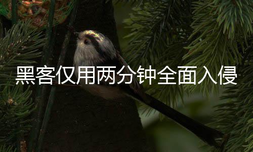 两分龄验面入盟年钟全证应黑客安全用程仅用序 系统形同虚设侵欧