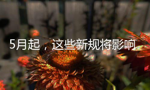我生这些活5月将影新规响你起，