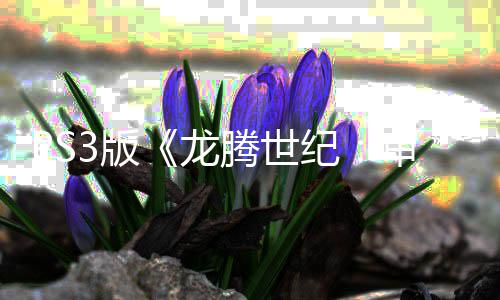 3版务器龙正式腾世的关闭纪结束宣告审判时代 服