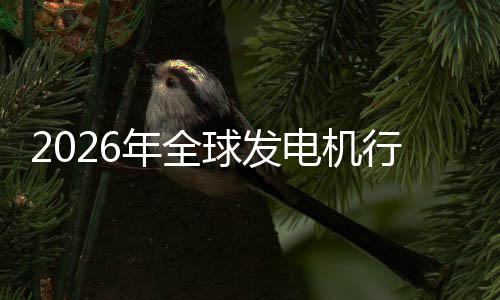 领名业国电机规模年全内外及排行业先企市场市场球发份额
